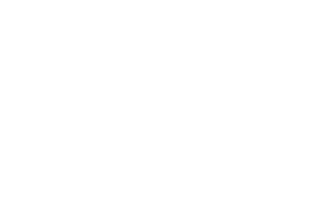 forest-camp