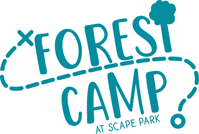 forest-camp